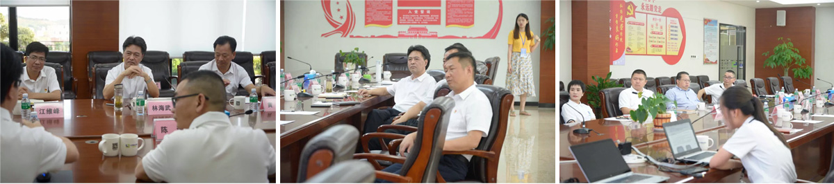 廣東省廉江市委書記林海武蒞臨產(chǎn)業(yè)園